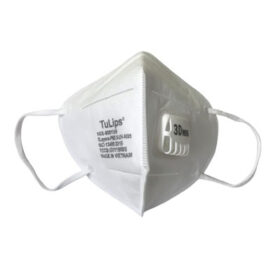 Khẩu Trang 3D N95 9001VH PM2.5 KT616-59